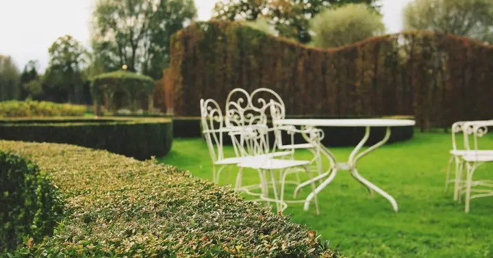Jardin à la française, charmilles et topiaires