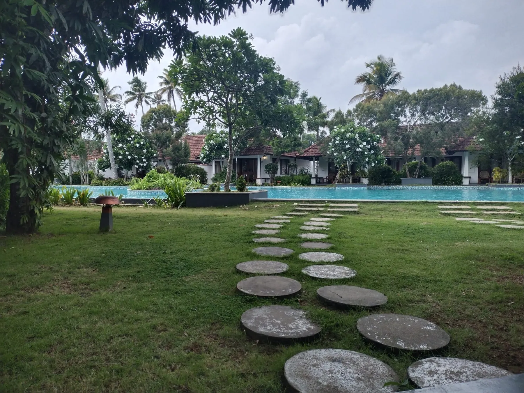Jardin méditerranéen autour de la piscine – Après