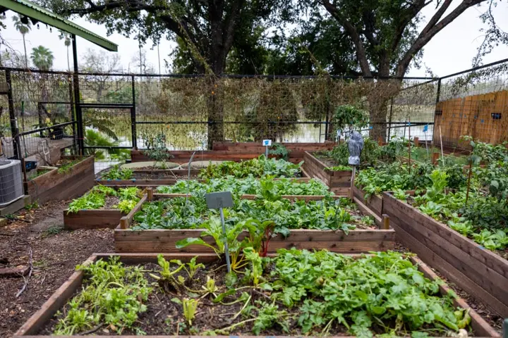 Potager surélevé familial