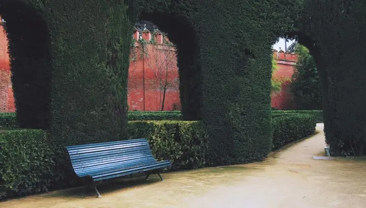 Jardin à la française, charmilles et topiaires